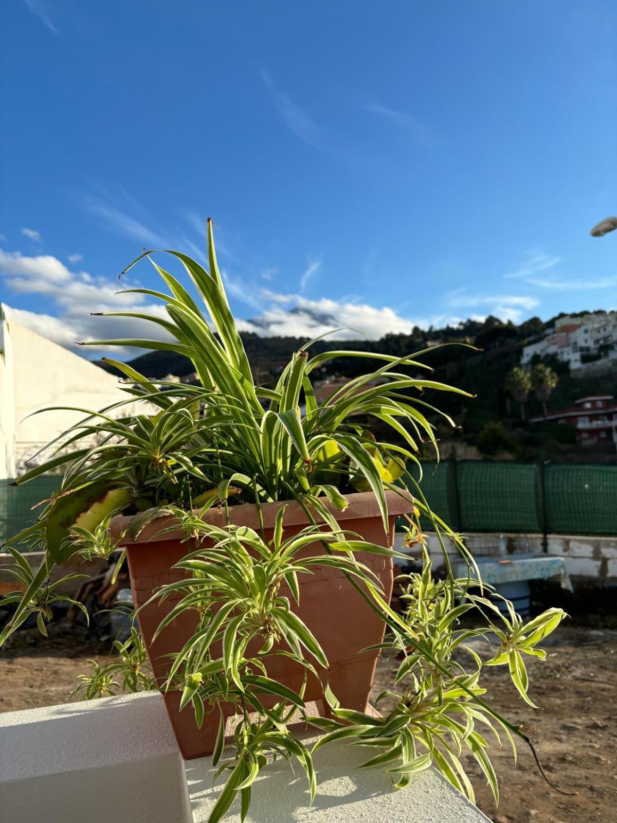 Penzion La Trinidad La Guancha Exteriér fotografie